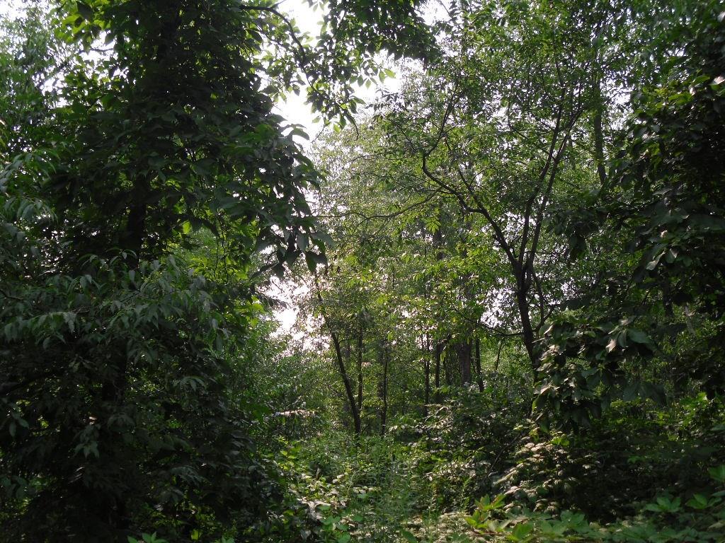 Lot 2 Keck Road Sarver, PA 16055 - Photo 6 of 12