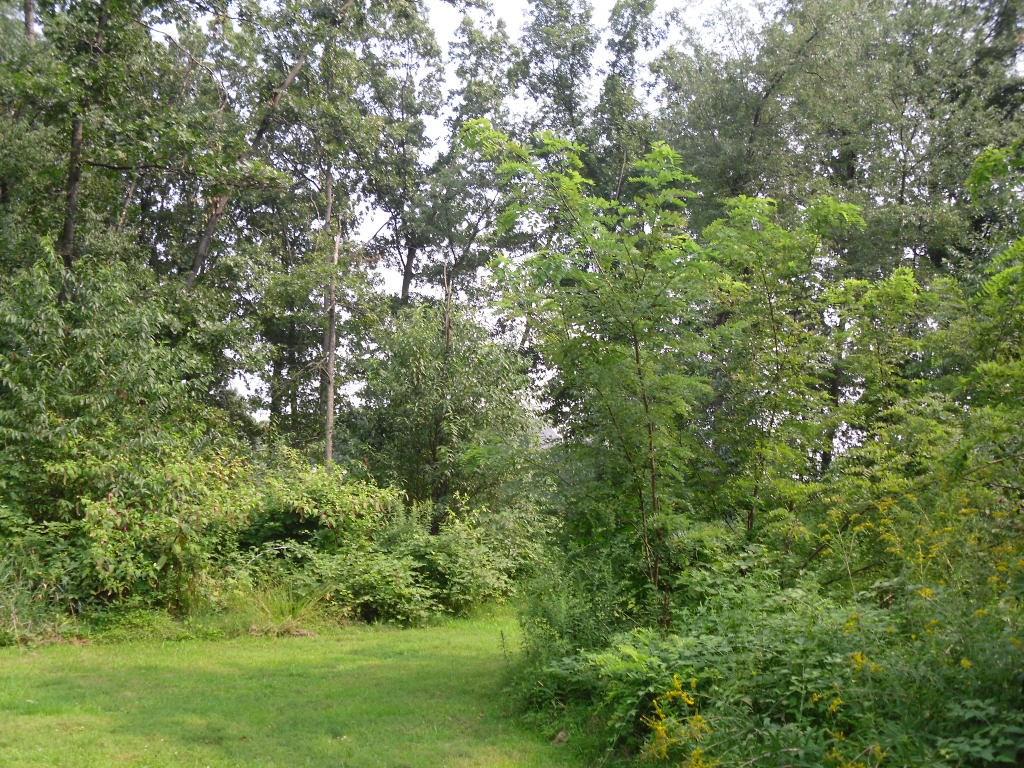Lot 2 Keck Road Sarver, PA 16055 - Photo 8 of 12