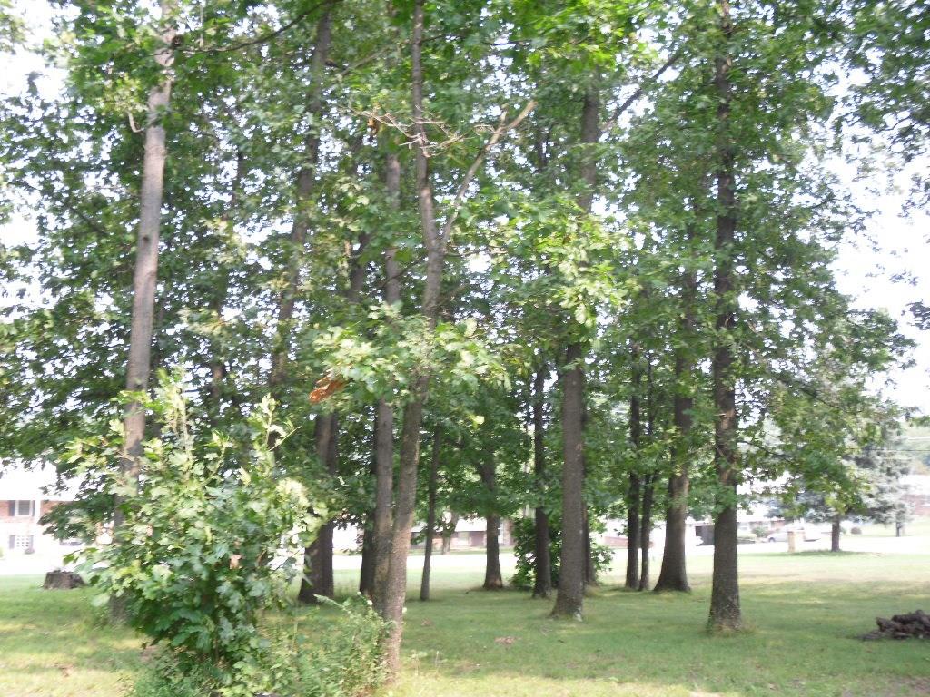 Lot 2 Keck Road Sarver, PA 16055 - Photo 9 of 12