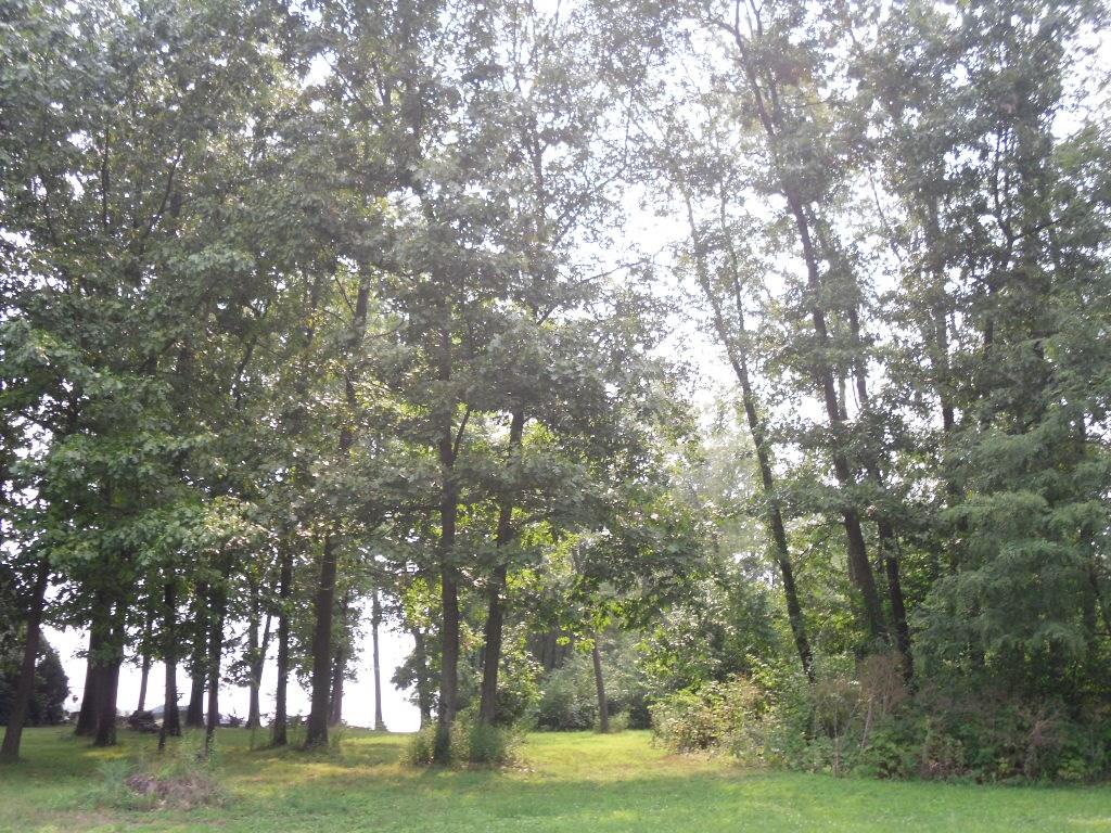 Lot 2 Keck Road Sarver, PA 16055 - Photo 10 of 12
