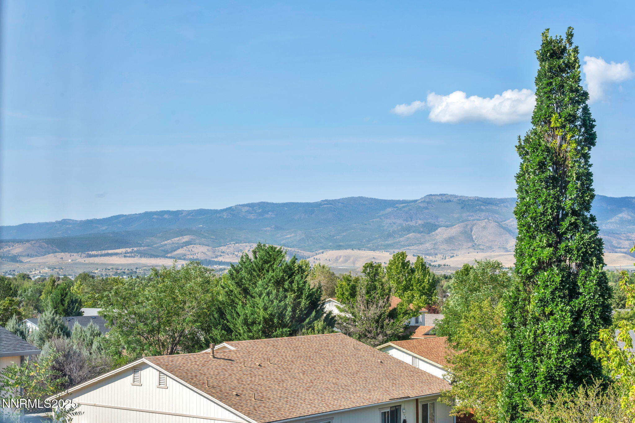 115 Calistoga Court Reno, NV 89508 - Photo 49 of 58 a view of a backyard with a garden and trees