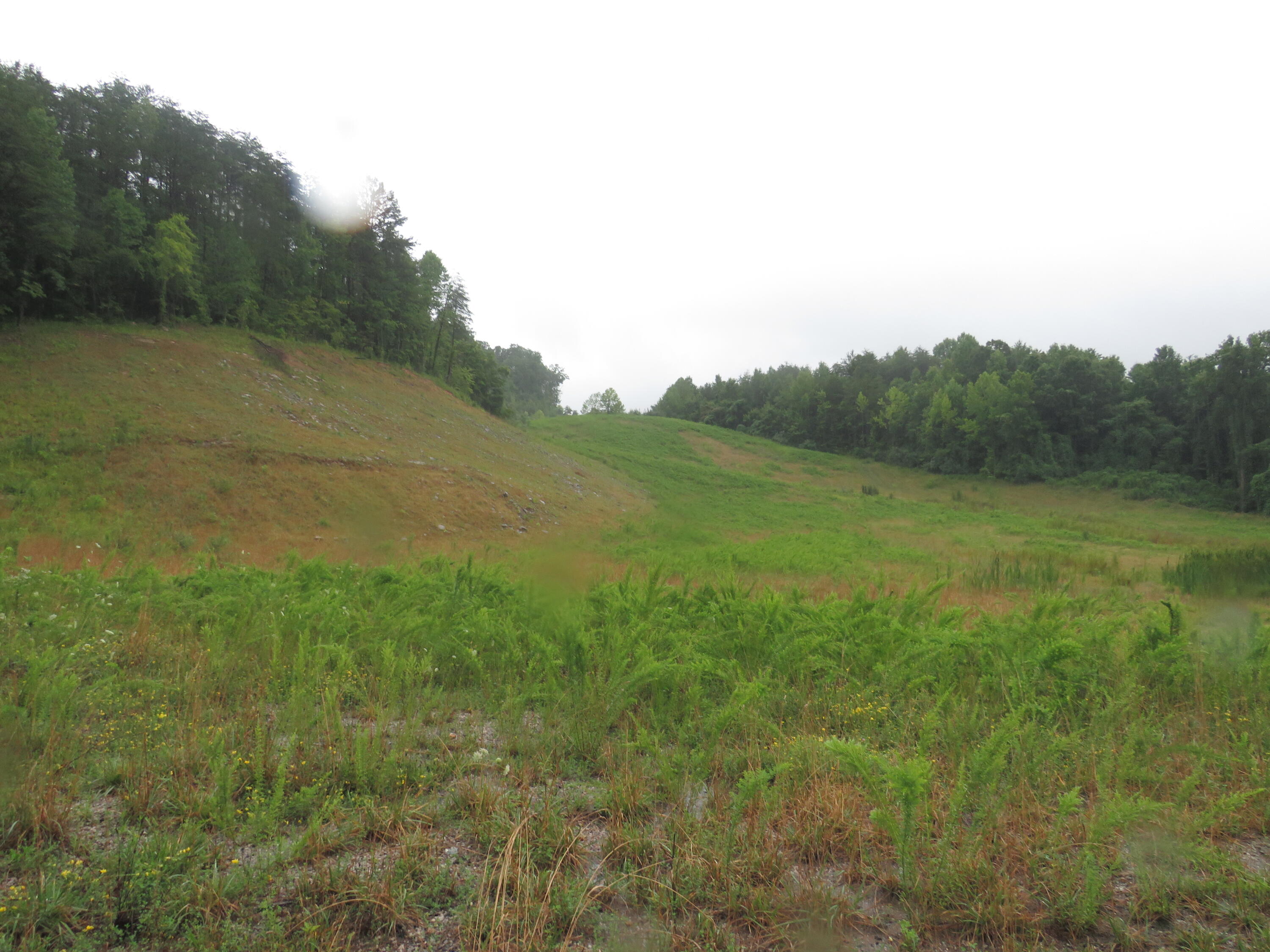 0 Hubbs Creek Road, Unit 940000003 00 Bryants Store, KY 40921 - Photo 9 of 11 IMG_2402