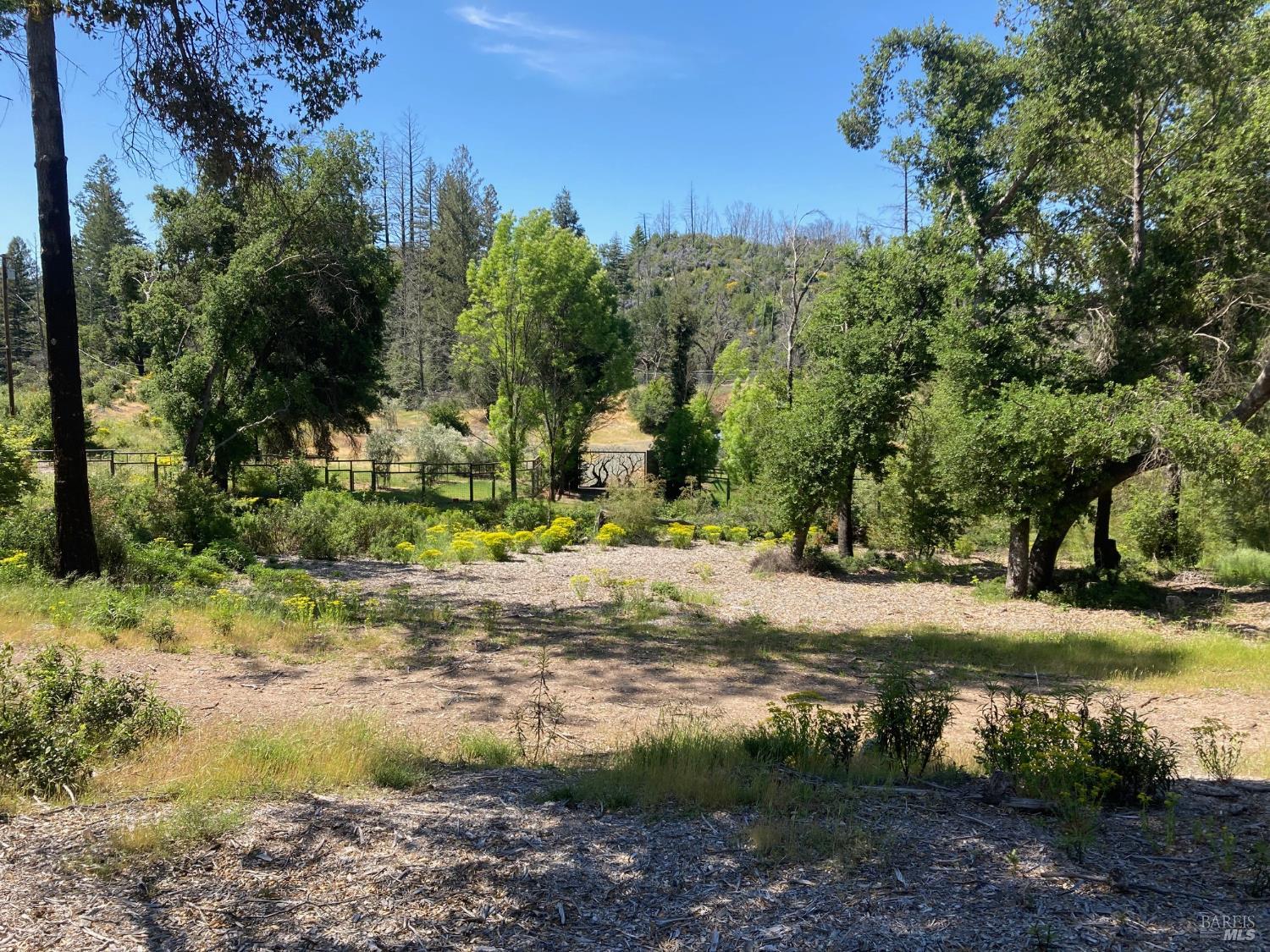 9201 Franz Valley School Road Calistoga, CA 94515 - Photo 11 of 14