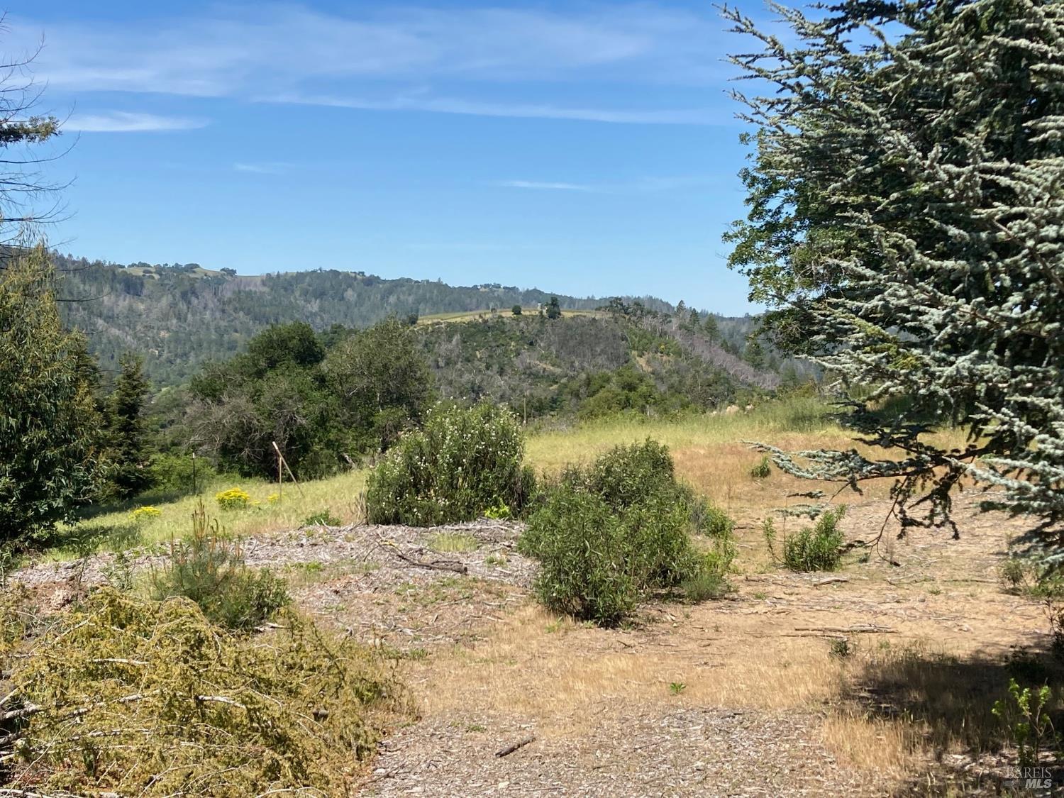 9201 Franz Valley School Road Calistoga, CA 94515 - Photo 12 of 14