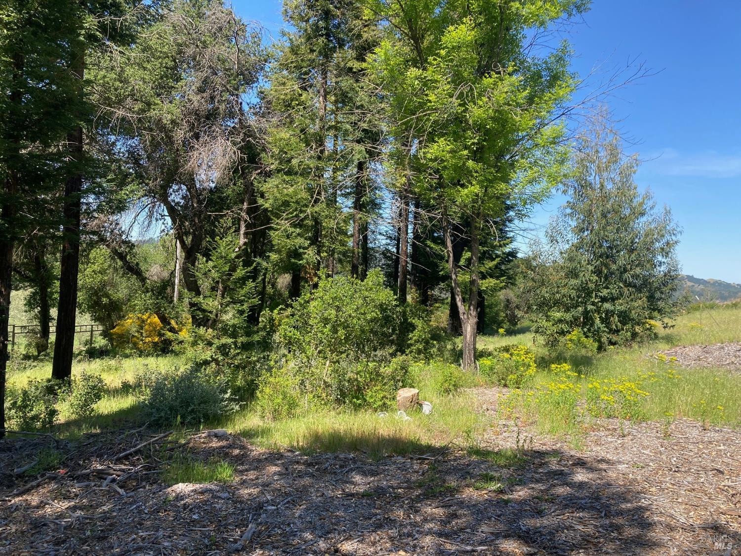 9201 Franz Valley School Road Calistoga, CA 94515 - Photo 14 of 14