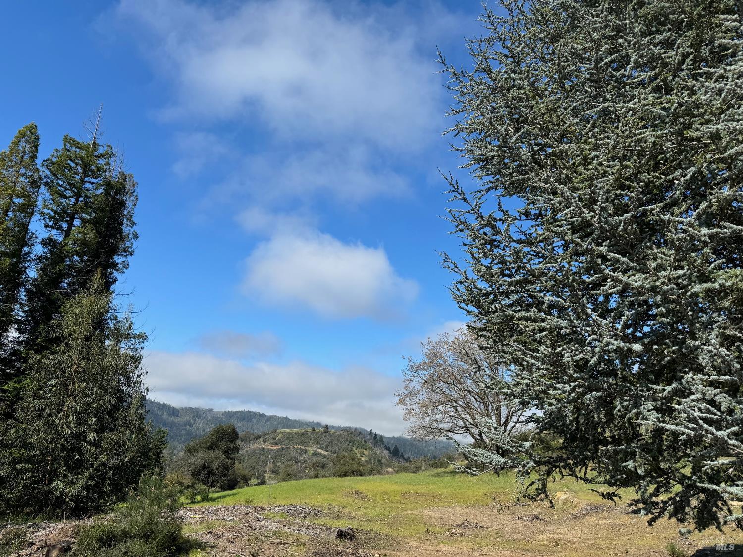 9201 Franz Valley School Road Calistoga, CA 94515 - Photo 4 of 14