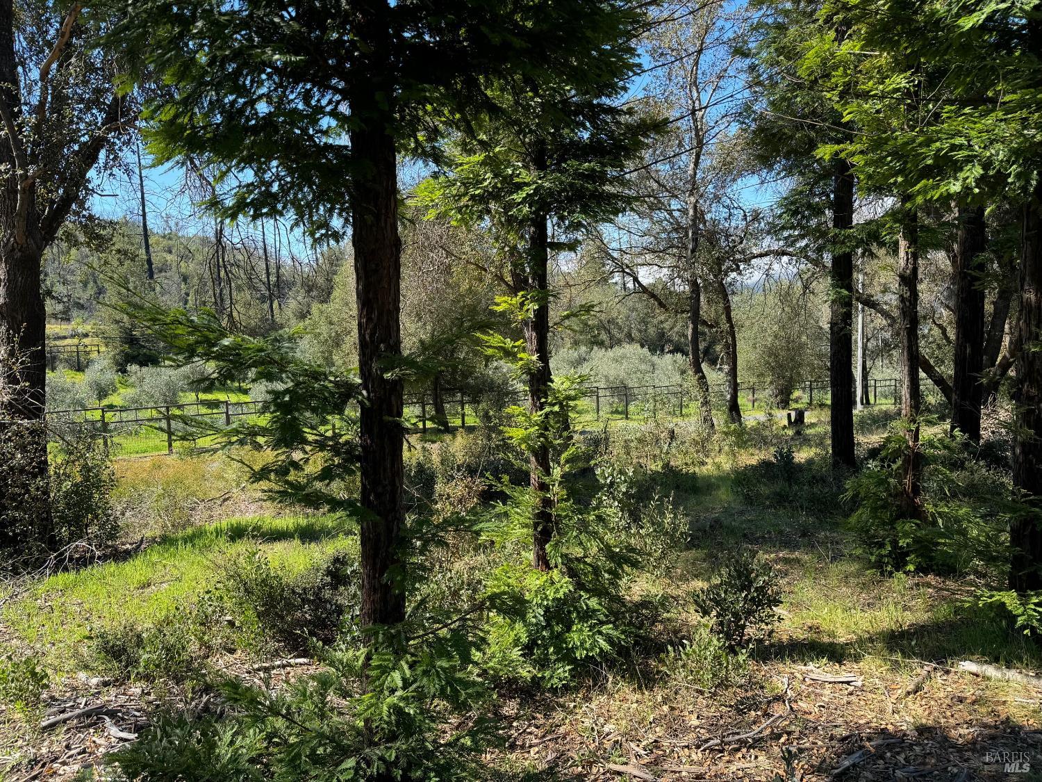 9201 Franz Valley School Road Calistoga, CA 94515 - Photo 5 of 14