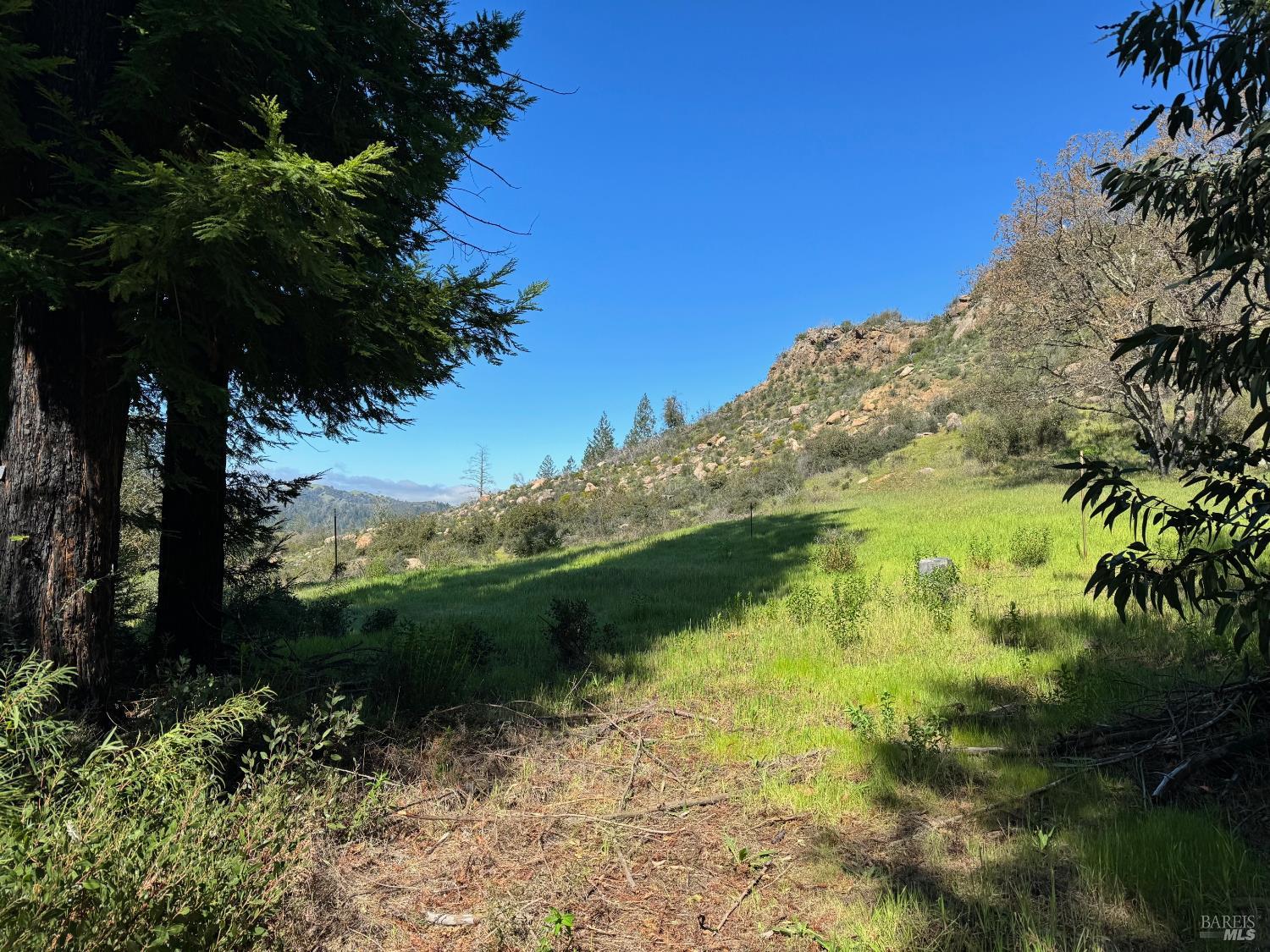 9201 Franz Valley School Road Calistoga, CA 94515 - Photo 6 of 14