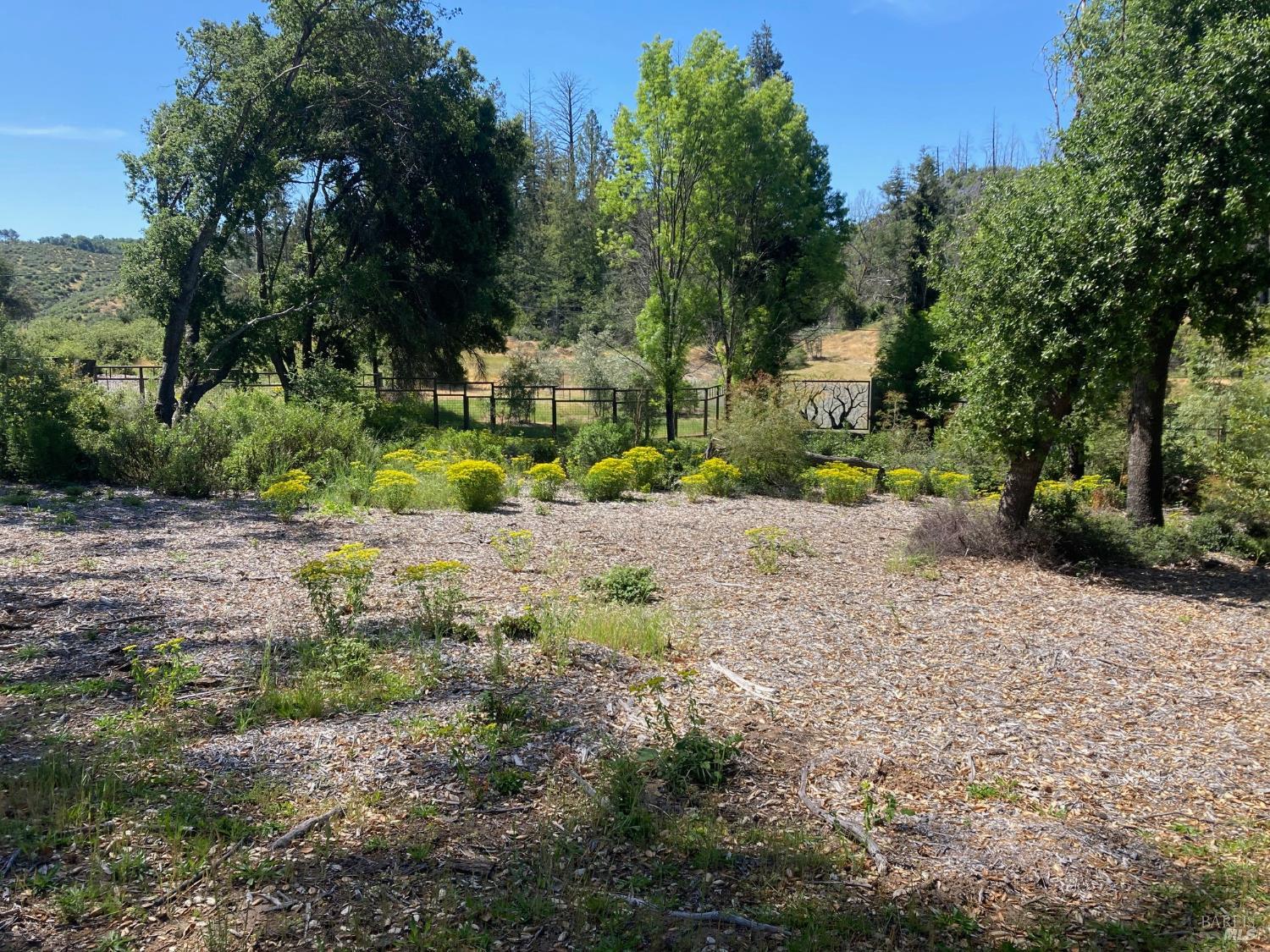 9201 Franz Valley School Road Calistoga, CA 94515 - Photo 8 of 14