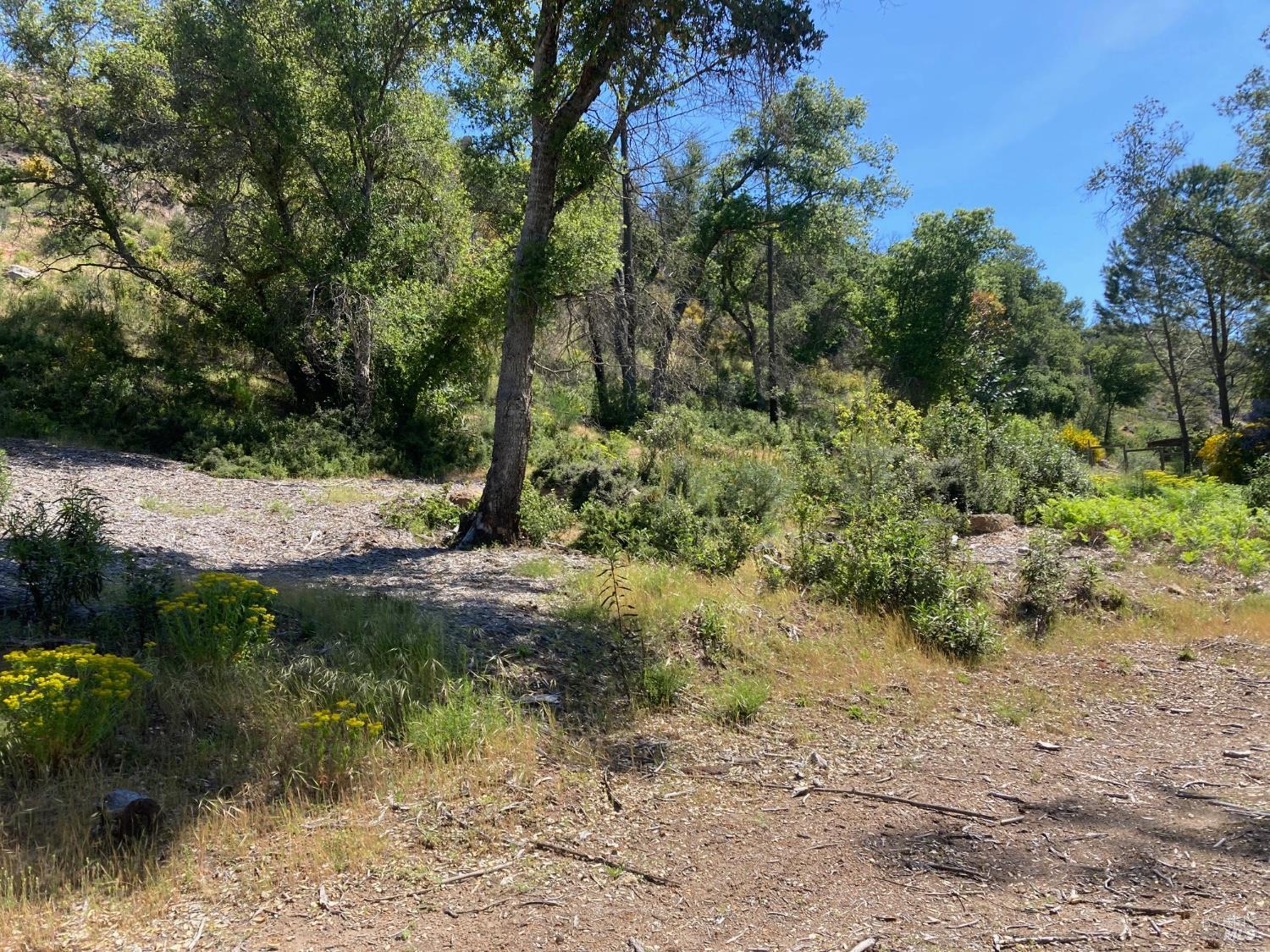 9201 Franz Valley School Road Calistoga, CA 94515 - Photo 10 of 14