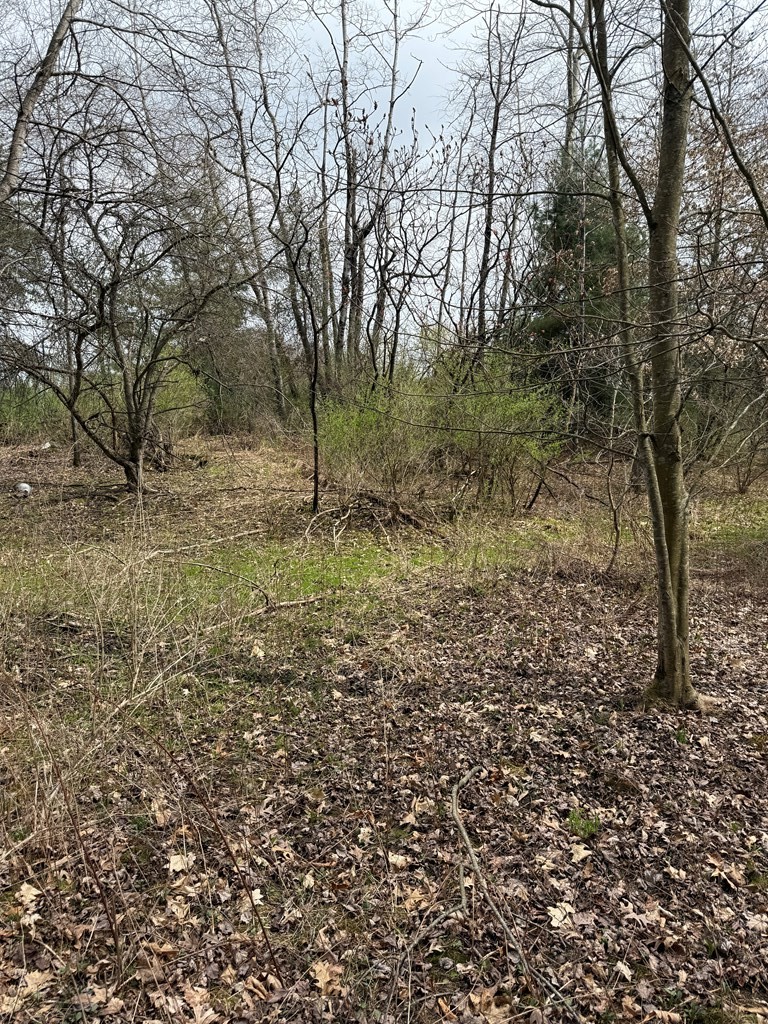 0 Walker Farm Road Rimersburg, PA 16248 - Photo 4 of 6