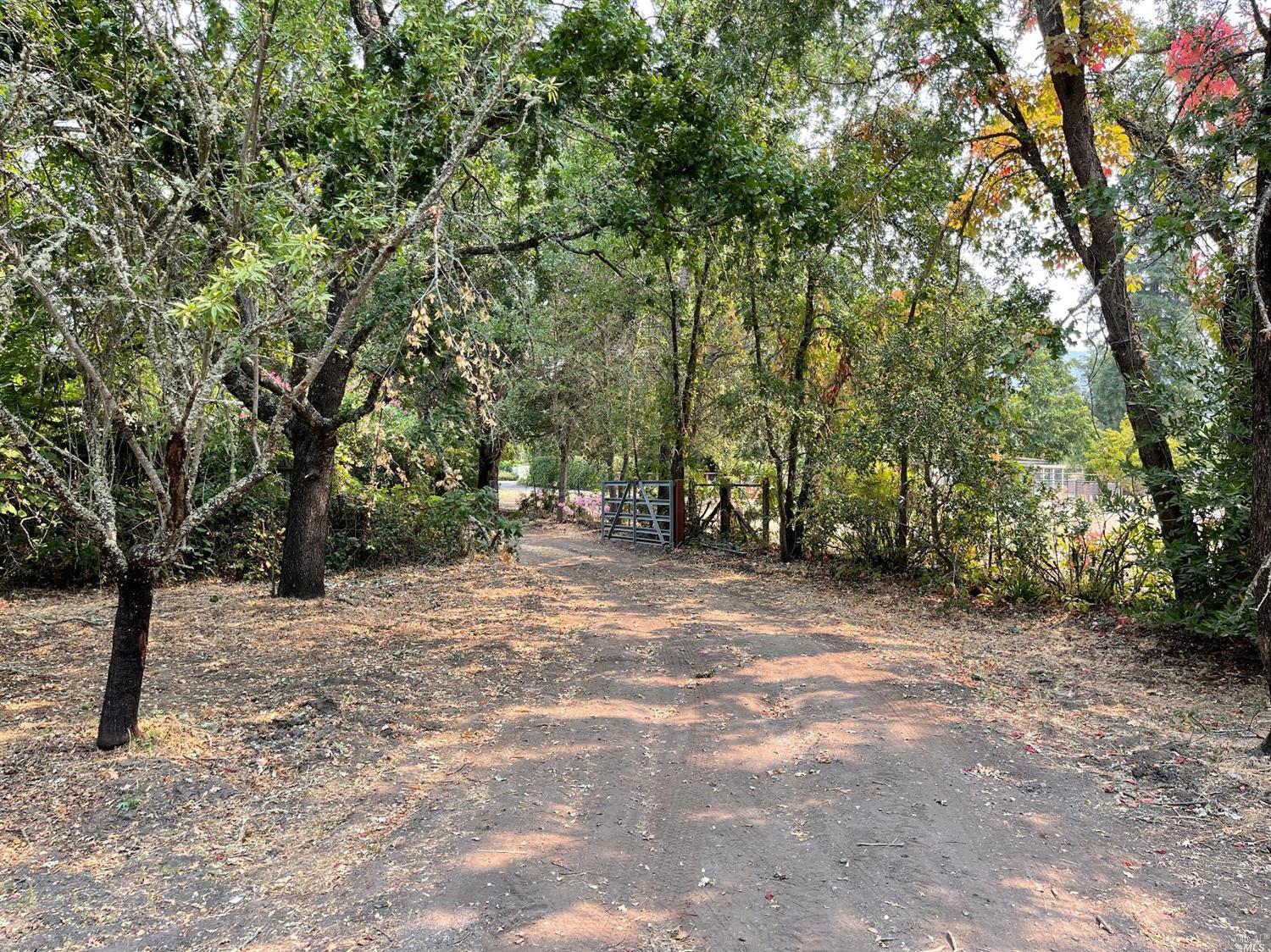 220 Hoff Road Kenwood, CA 95409 - Photo 1 of 1 a view of outdoor space with trees