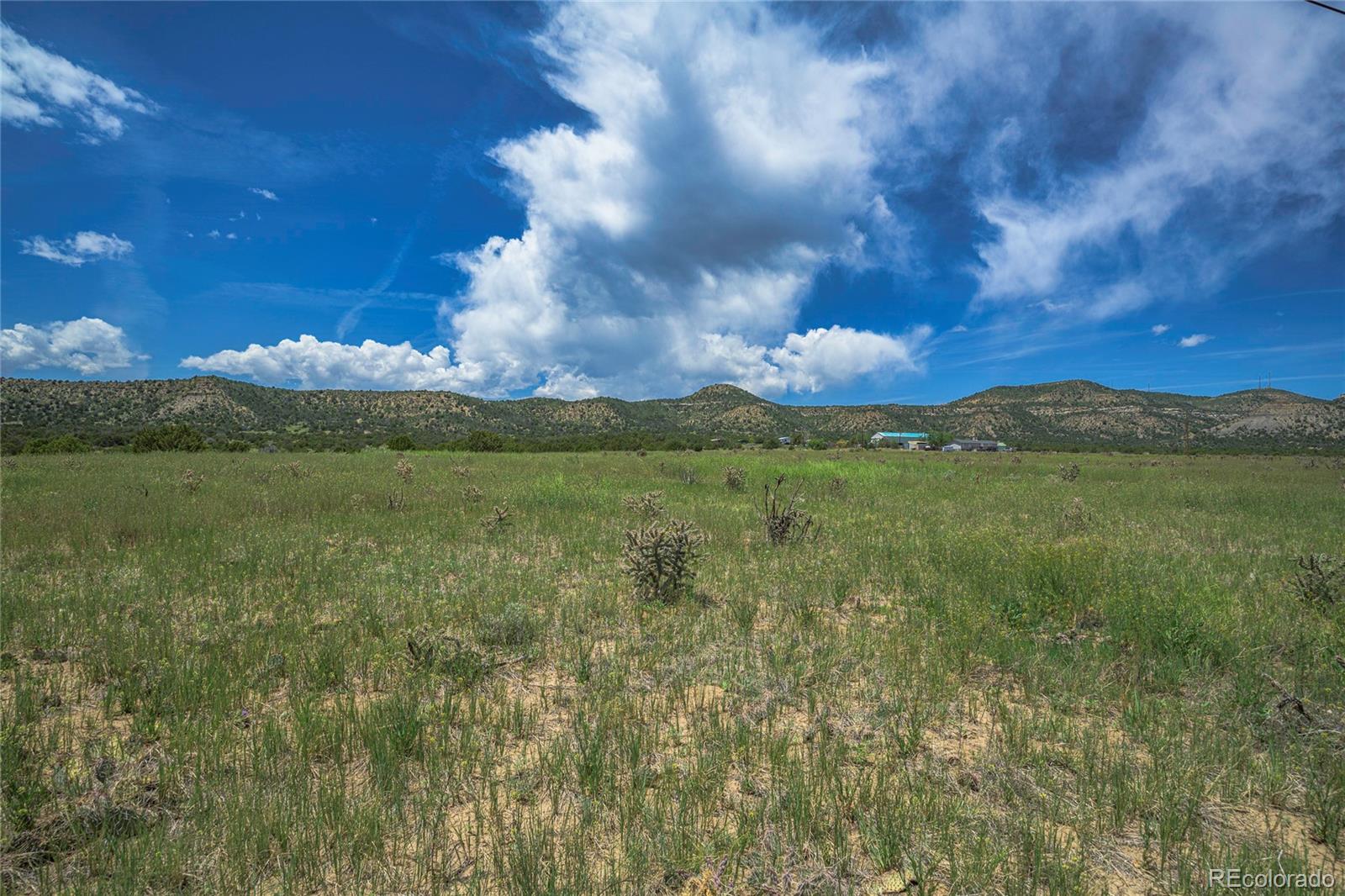 71.1 County Road Trinidad, CO 81082 - Photo 6 of 31