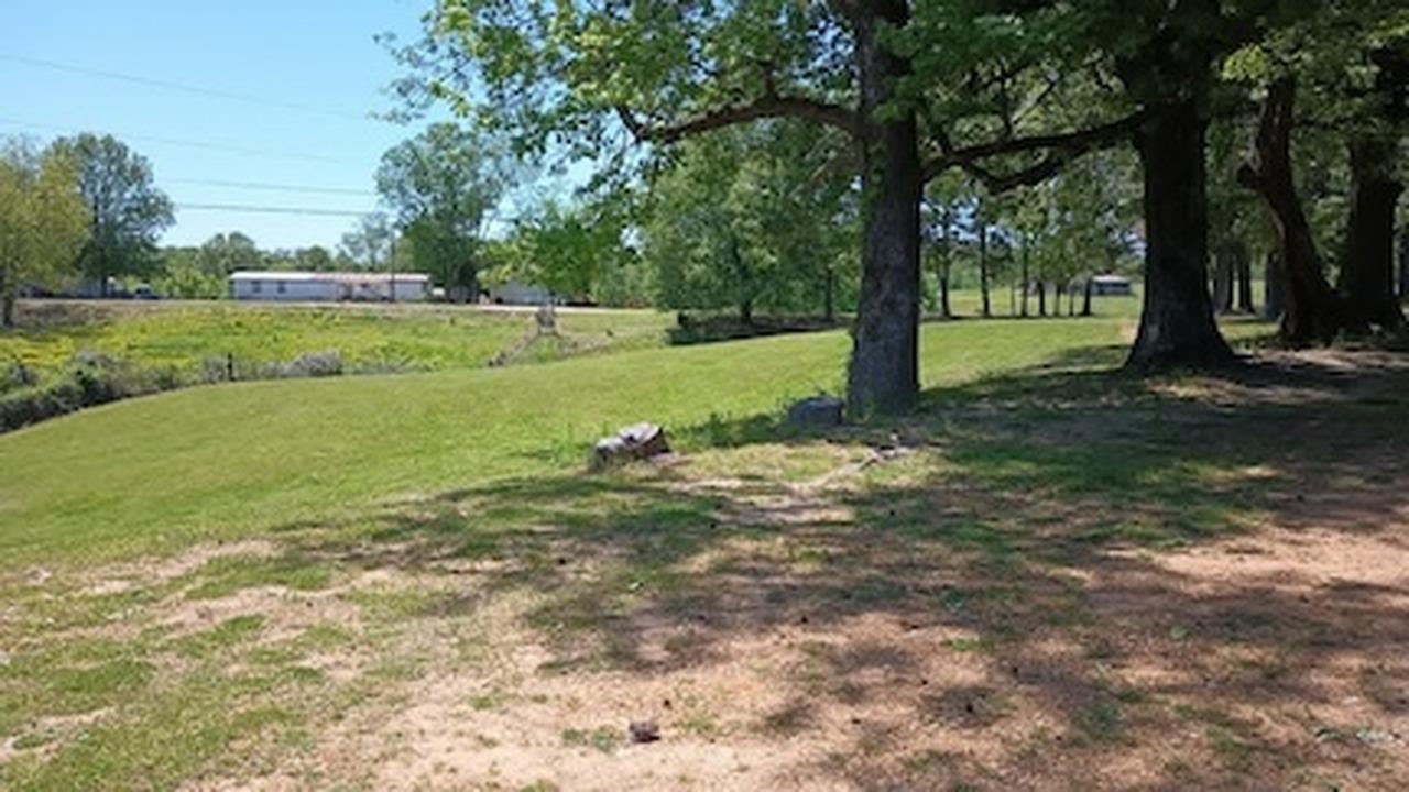 2158 Barlow Road Ripley, TN 38063 - Photo 10 of 18 Expansive green space featuring a gentle slope, mature trees, and a distant structure