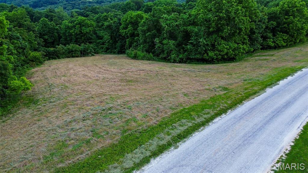 2251 Plummer Hill Road Hardin, IL 62047 - Photo 5 of 10