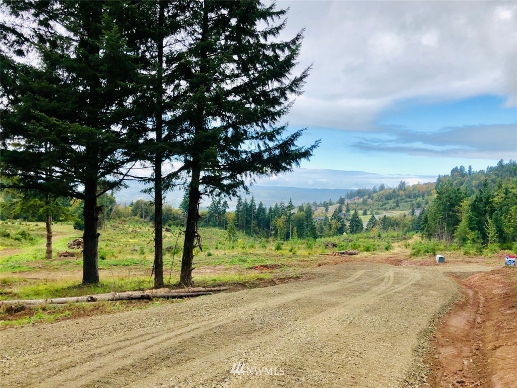 172 Falcon Road Kalama, WA 98625 - Photo 14 of 19 Gallery Image 14