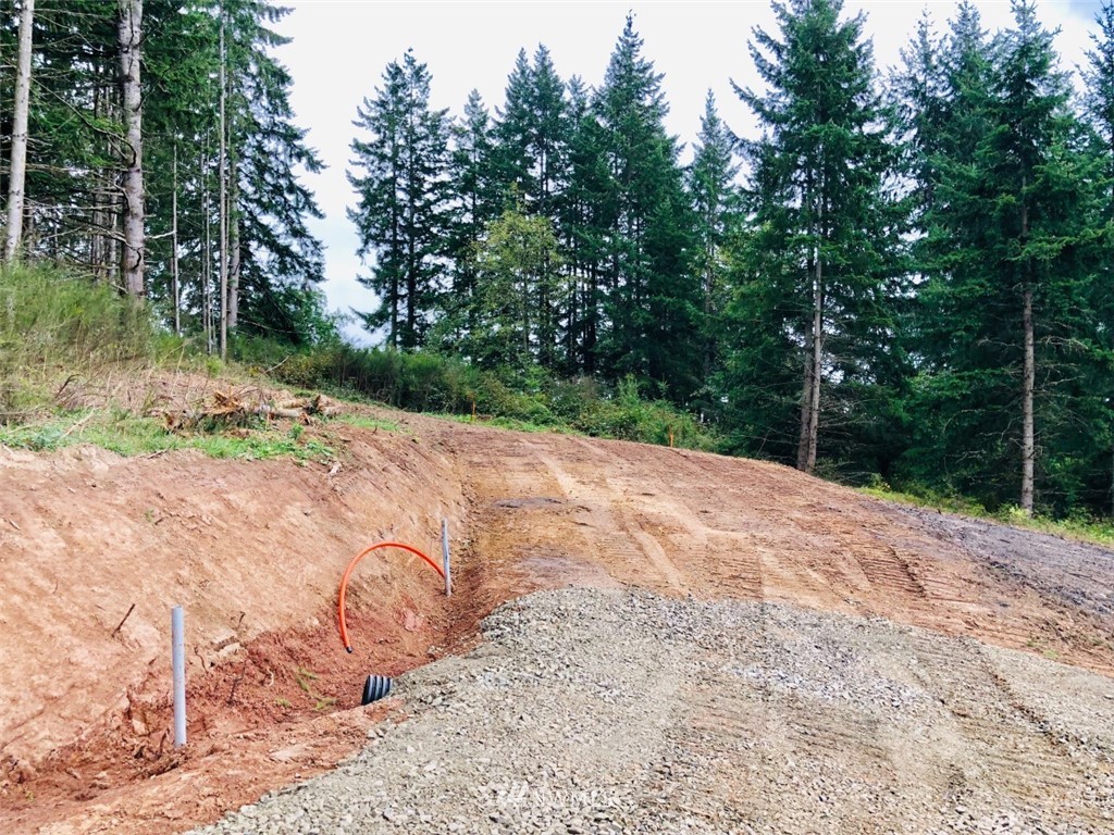 172 Falcon Road Kalama, WA 98625 - Photo 8 of 19 Gallery Image 8