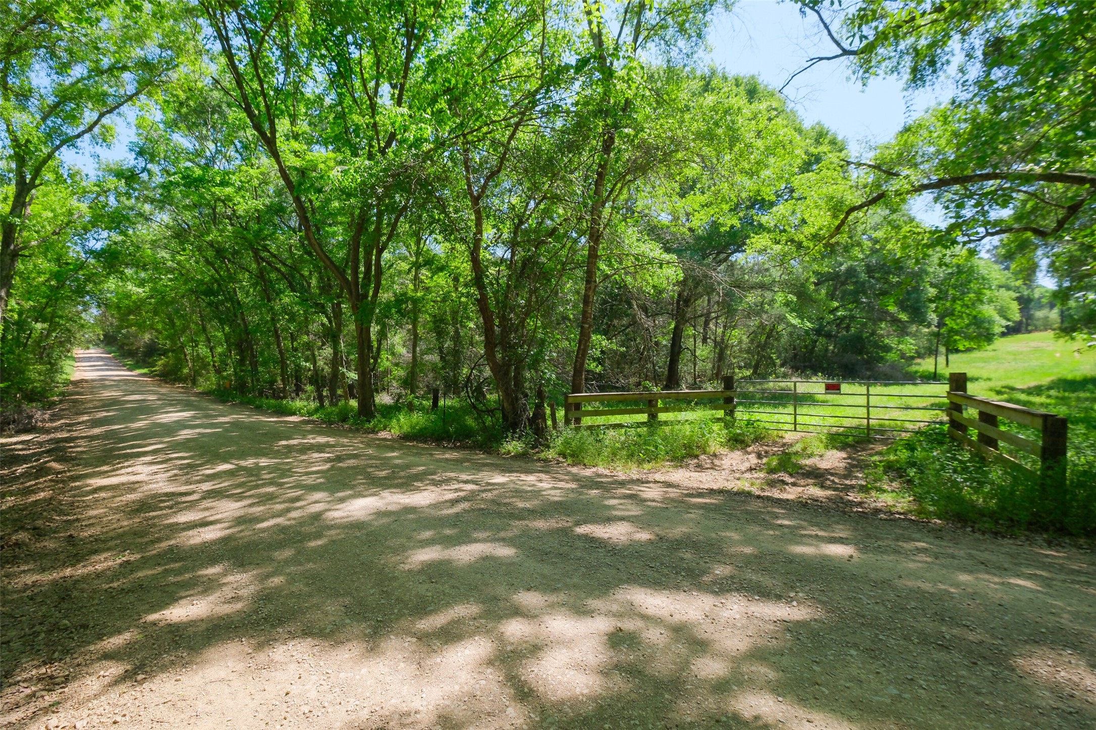 24718 Squirrel Road New Ulm, TX 78950 - Photo 14 of 26 a view of a park with large trees