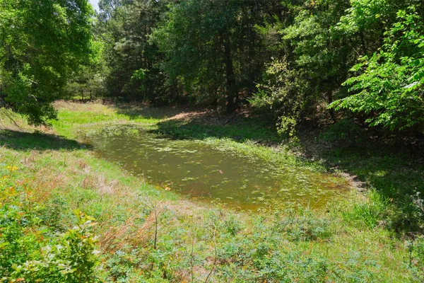 $1,050,000 | 24718 Squirrel Road, New Ulm, TX 78950