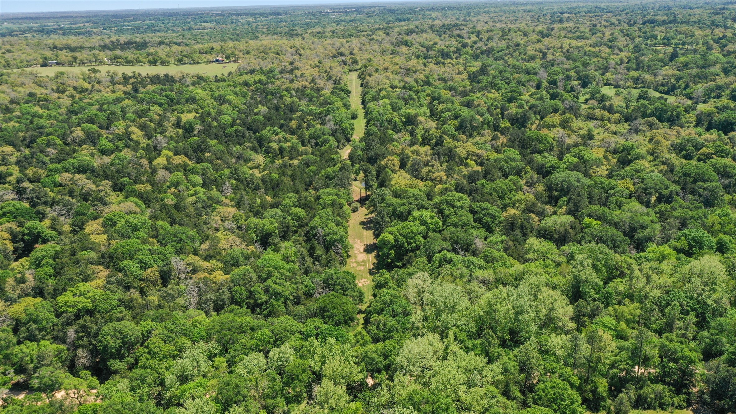 24718 Squirrel Road New Ulm, TX 78950 - Photo 26 of 26 a view of a green field