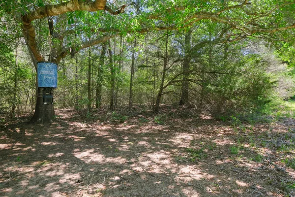 $1,050,000 | 24718 Squirrel Road, New Ulm, TX 78950