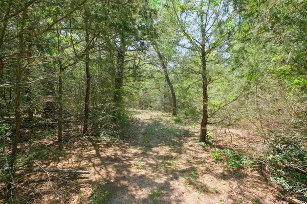 $1,050,000 | 24718 Squirrel Road, New Ulm, TX 78950