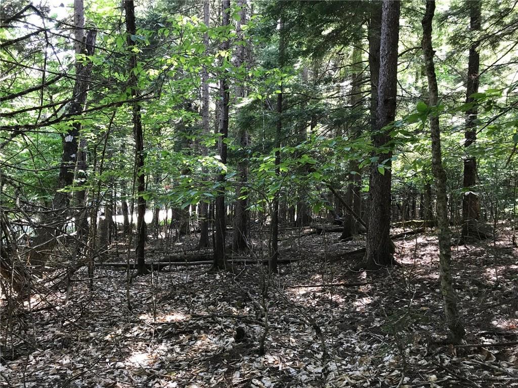 Tbd Black Point Road Beaver Cove, ME 04441 - Photo 11 of 18 Photo