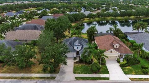 a view of a park with entertaining space