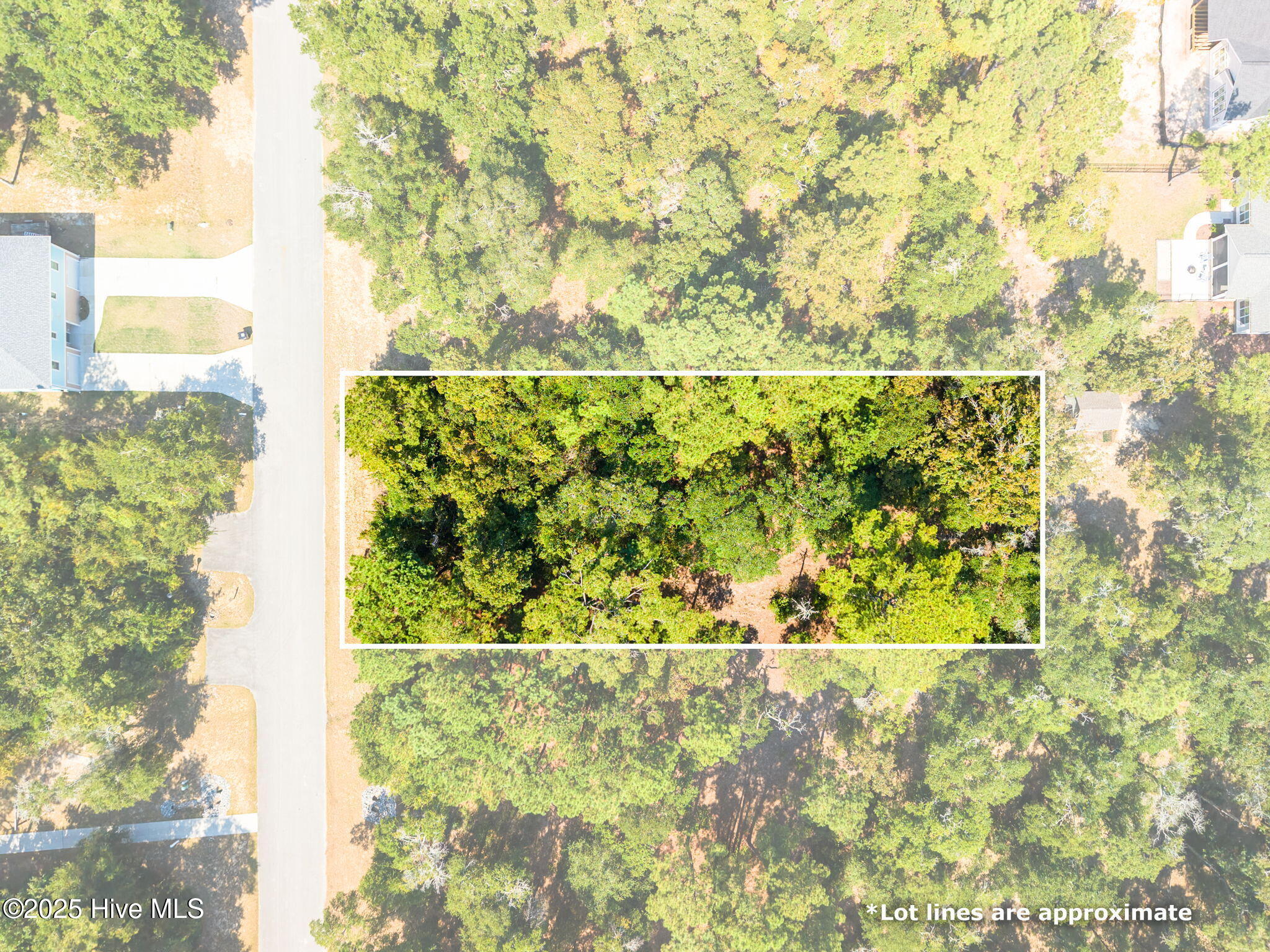1834 Russell Hewett Road Southwest Supply, NC 28462 - Photo 6 of 26 8-web-or-mls-CAMMediaLLC.com 1835-1