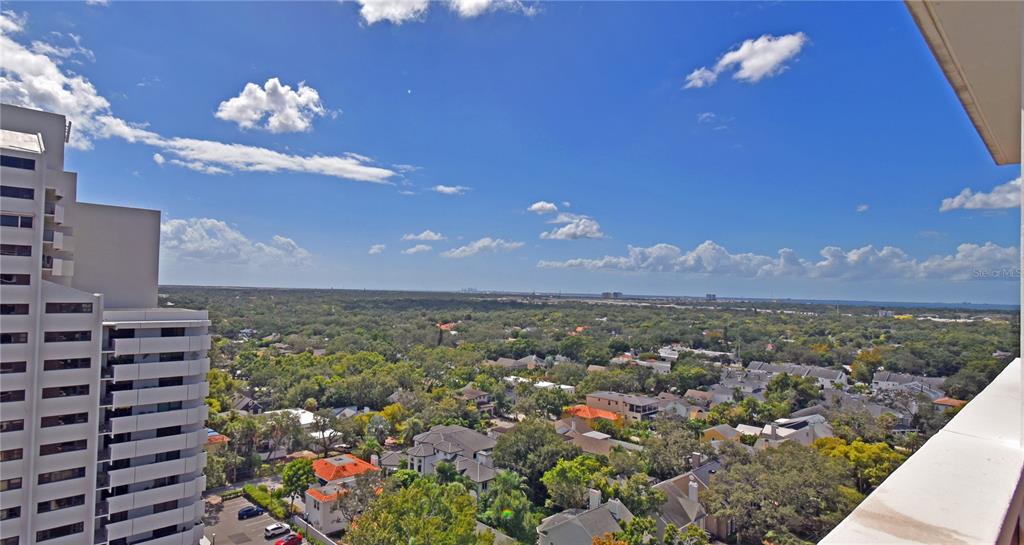 4015 Bayshore Boulevard, Unit 17F Tampa, FL 33611 - Photo 4 of 32 a view of a city with flower plants