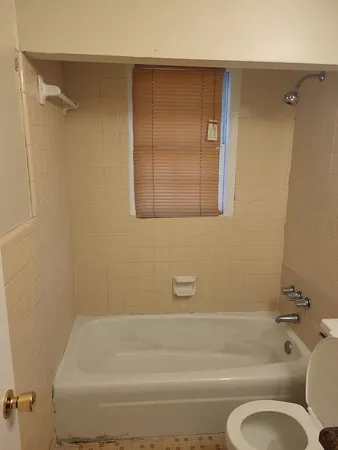 a bathroom with a toilet and a bathtub