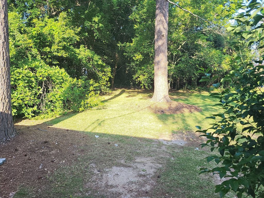 3541 13th Avenue, Unit B Columbus, GA 31904 - Photo 8 of 8 a view of a yard with plants and trees