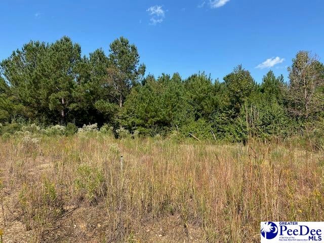 1447 Odom Road Bennettsville, SC 29512 - Photo 6 of 7 Gallery Image 6