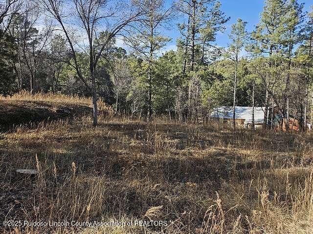 512 5th Street Ruidoso, NM 88345 - Photo 1 of 1 js640_20250220_155405