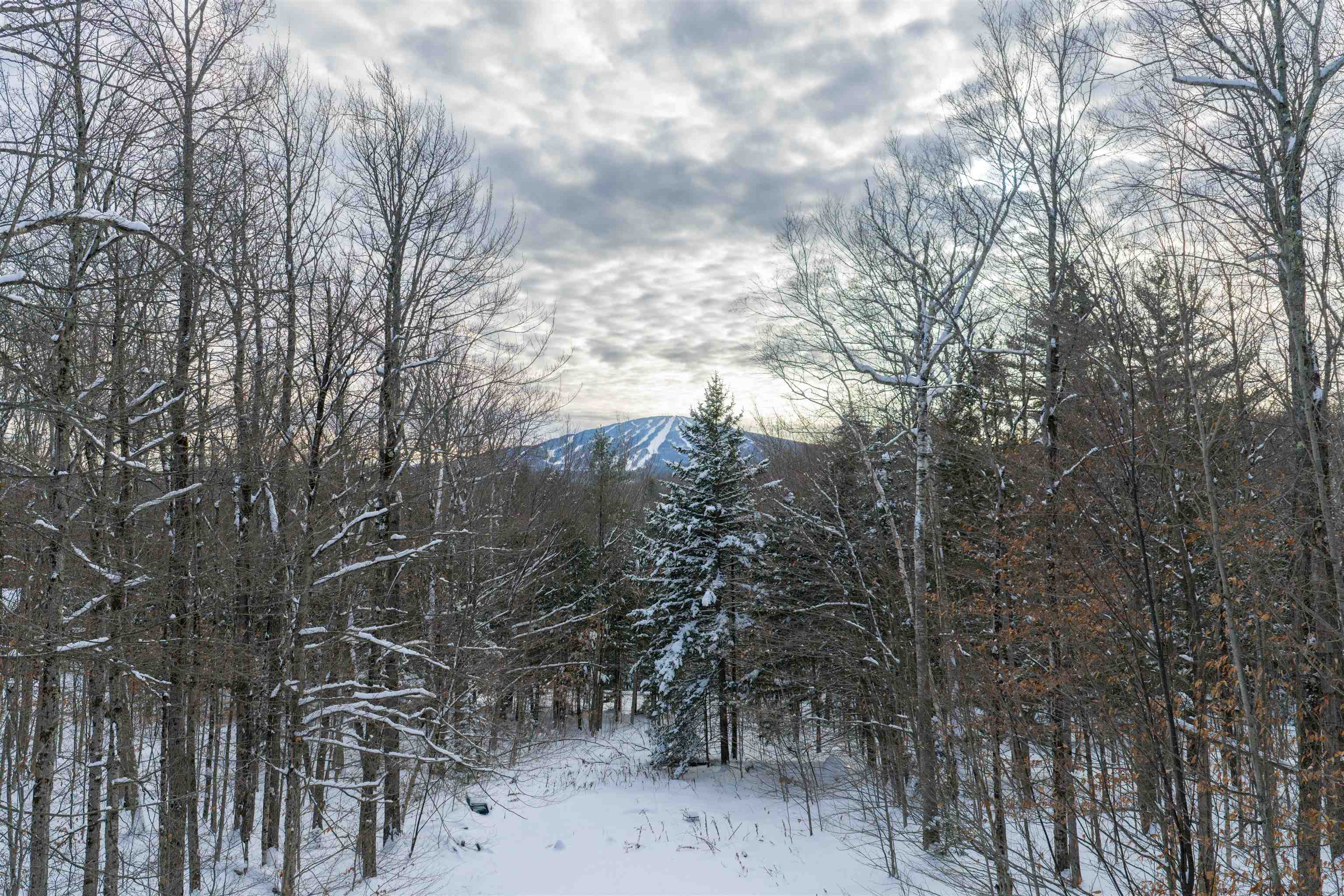 44 Lake Road Winhall, VT 05340 - Photo 2 of 32