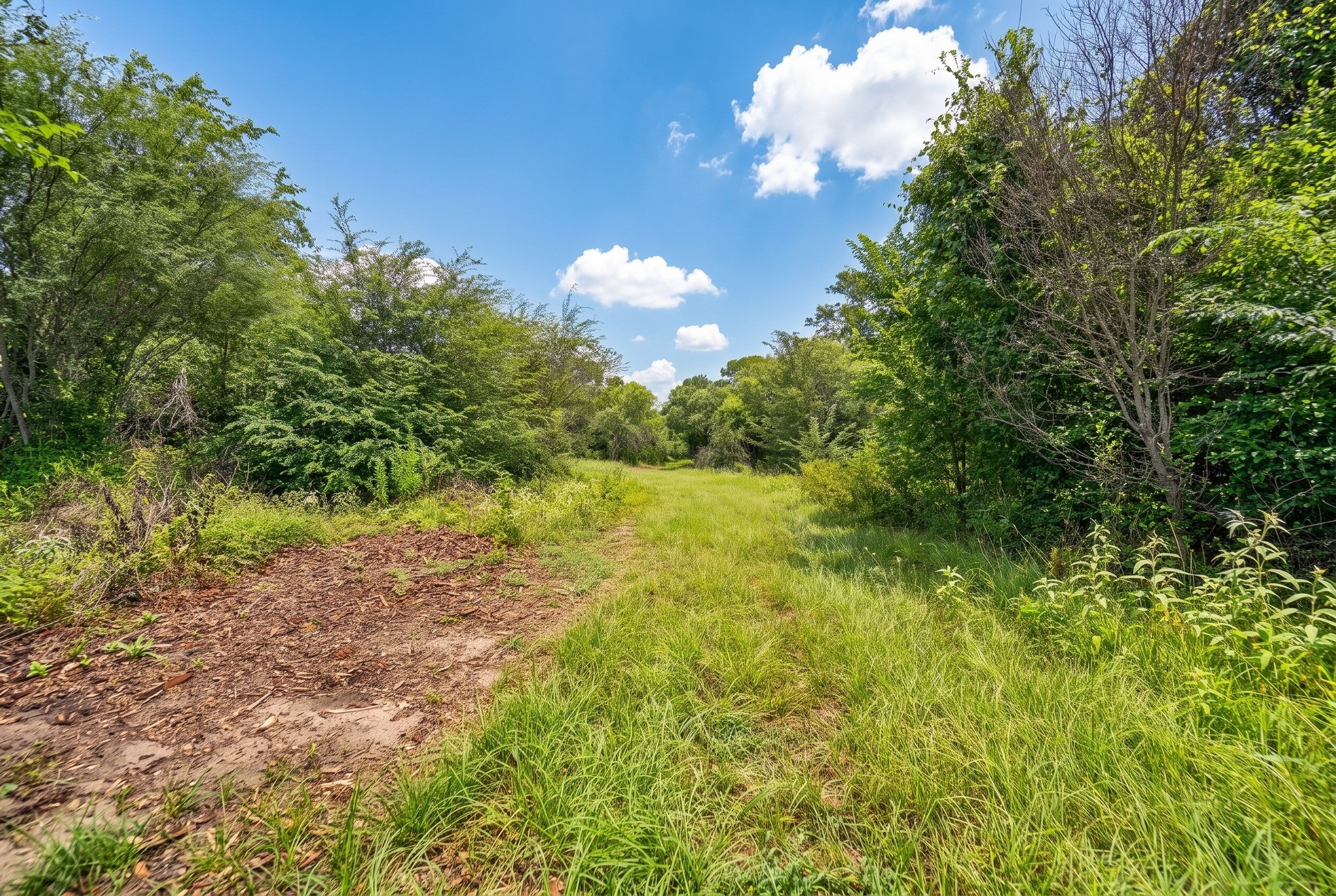 20525 Pickens Road Washington, TX 77880 - Photo 6 of 11