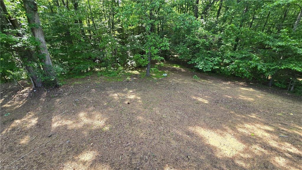 215 North Gibson Road Mebane, NC 27302 - Photo 44 of 45