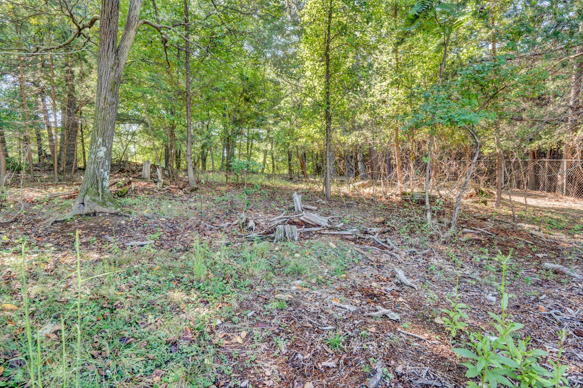 4700 Grandin Road Southwest Roanoke, VA 24018 - Photo 31 of 31 31-DSC9561