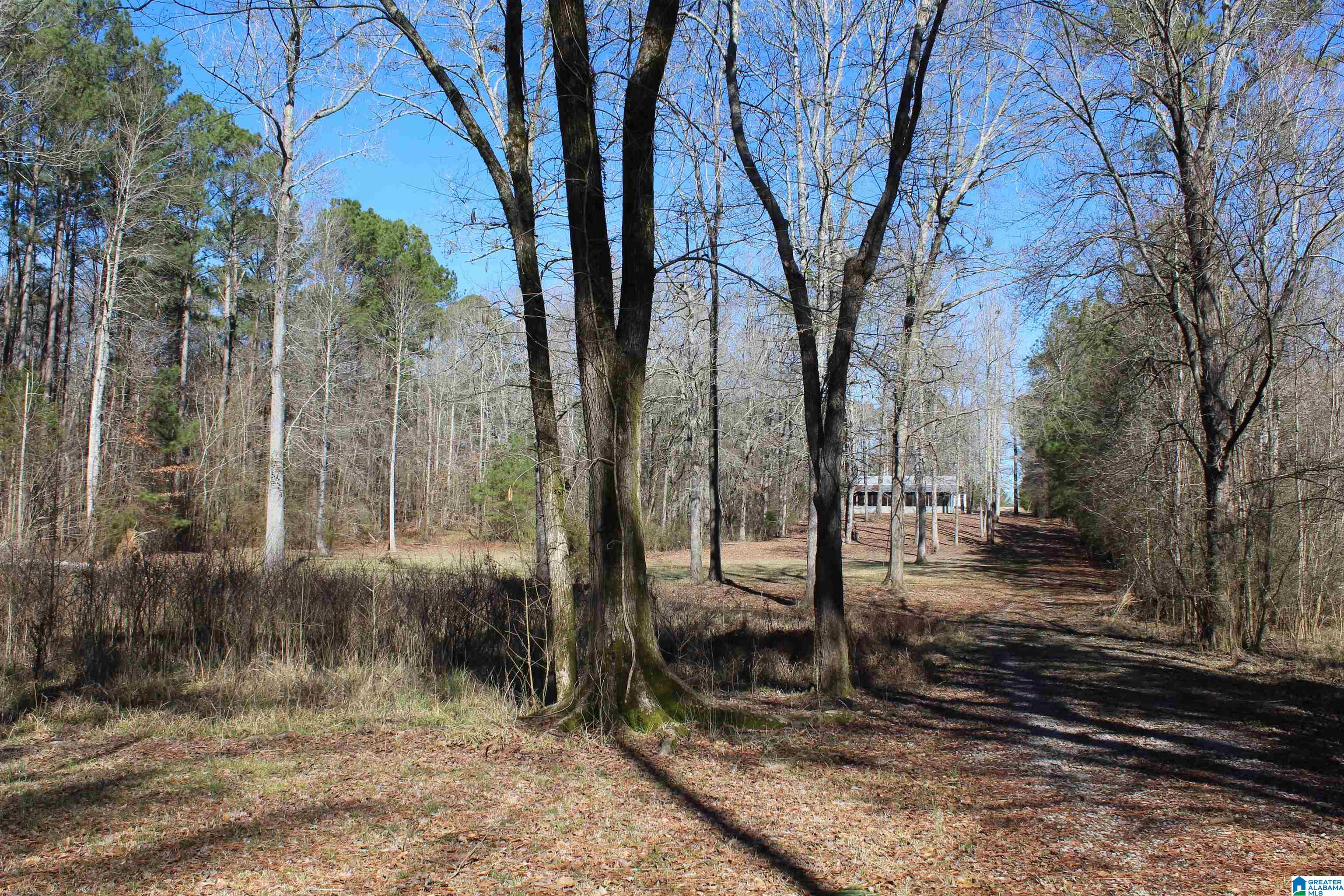 85 Brooks Road Ragland, AL 35131 - Photo 21 of 27