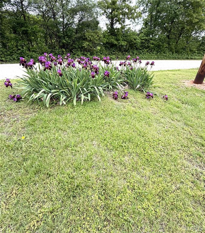 2864 Spring Valley Road Summersville, MO 65571 - Photo 24 of 36 Gallery Image 24