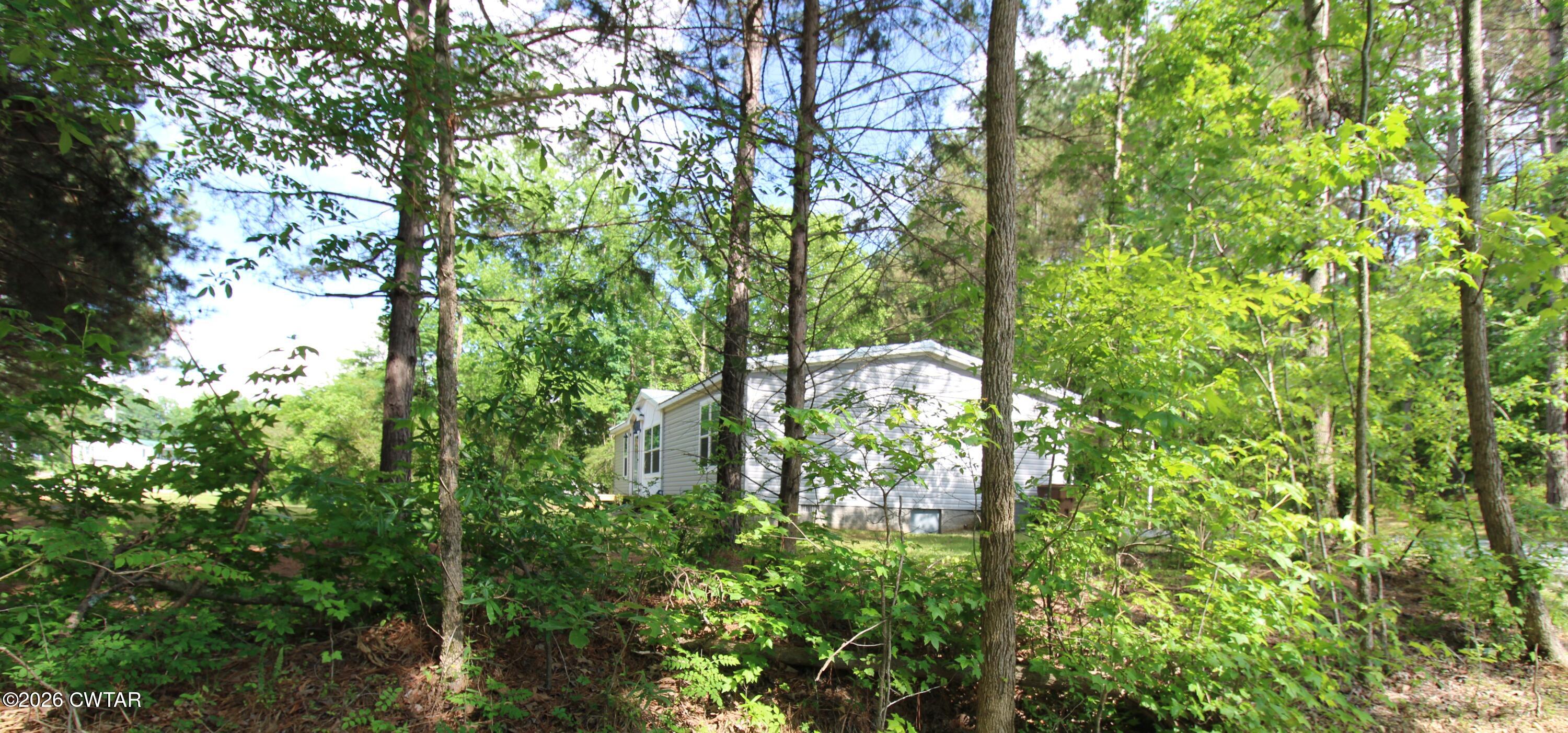 398 Pope Road Lexington, TN 38351 - Photo 19 of 21 a backyard of a house with lots of plants and trees