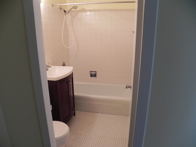 655 West Irving Park Road, Unit 5109 Chicago, IL 60613 - Photo 11 of 19