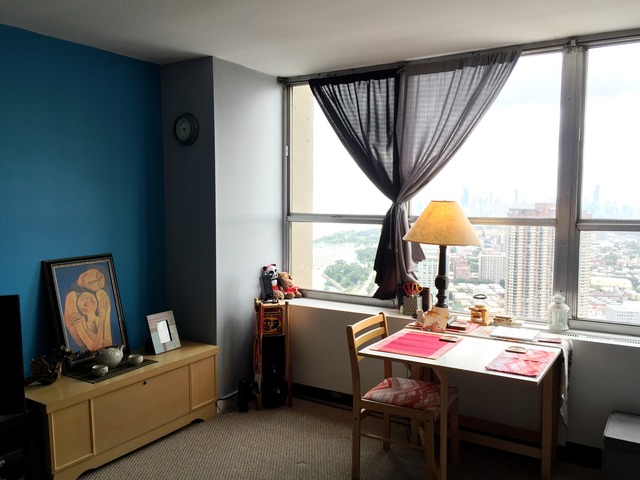 655 West Irving Park Road, Unit 5109 Chicago, IL 60613 - Photo 12 of 19