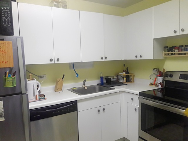 655 West Irving Park Road, Unit 5109 Chicago, IL 60613 - Photo 14 of 19