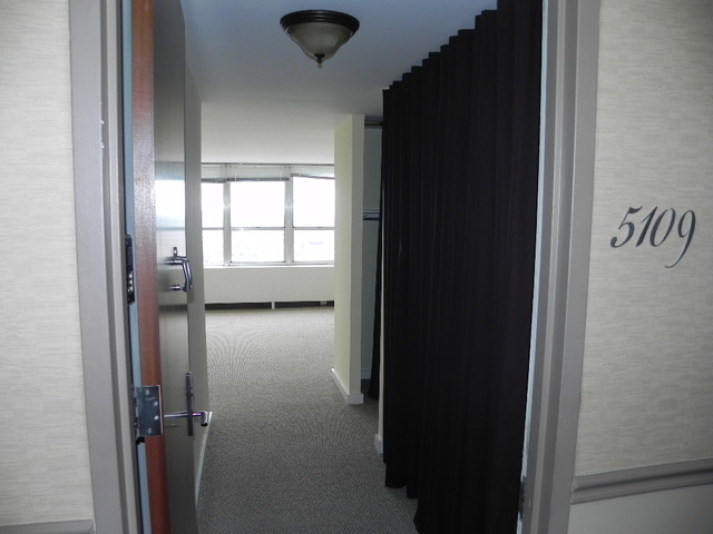 655 West Irving Park Road, Unit 5109 Chicago, IL 60613 - Photo 9 of 19
