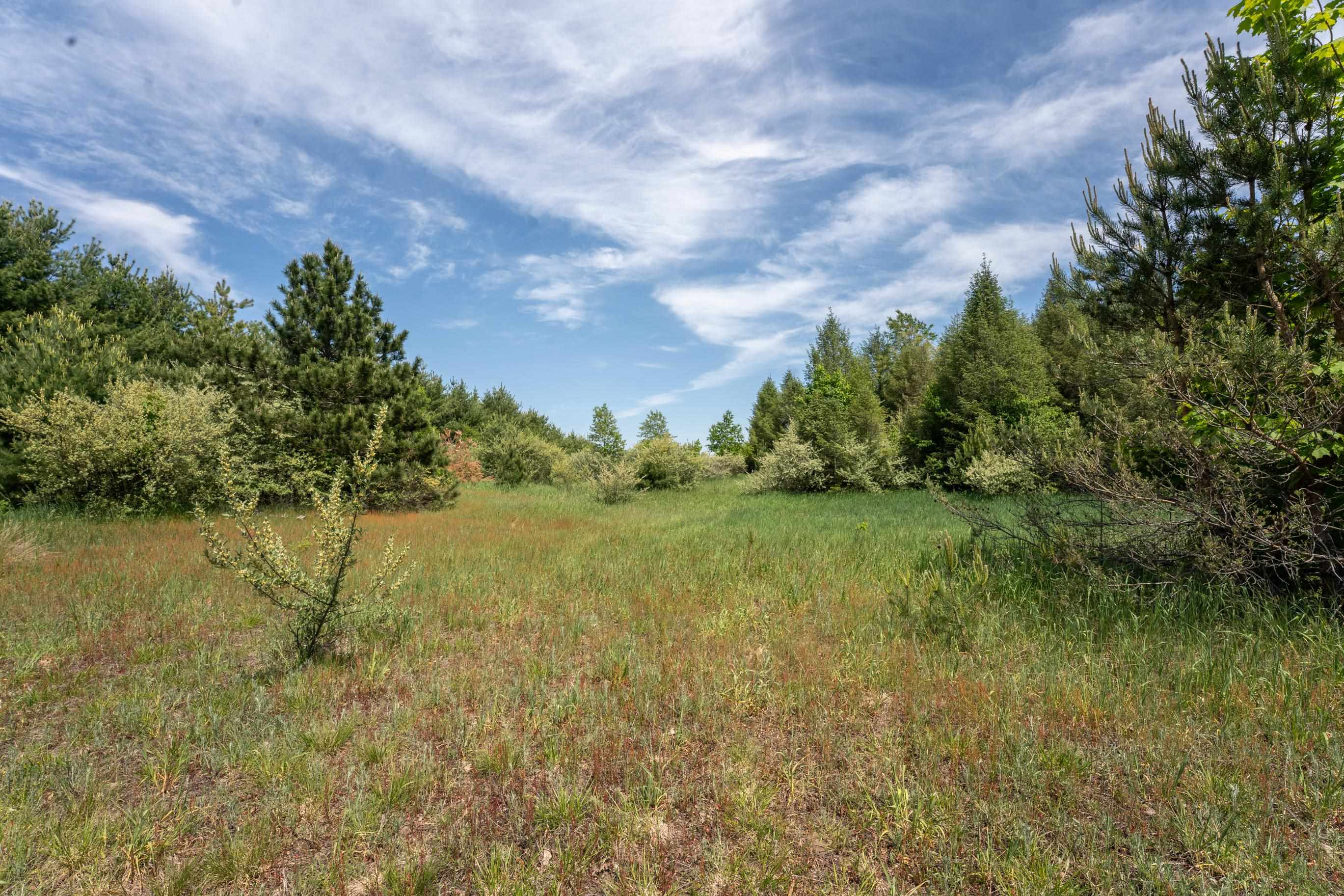 Tbd Traverse Road Thompsonville, MI 49683 - Photo 31 of 40