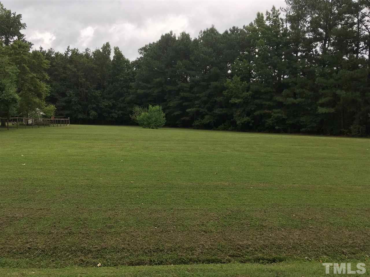 518 Pilot-Riley Road Zebulon, NC 27597 - Photo 4 of 25 a view of yard with ocean and trees