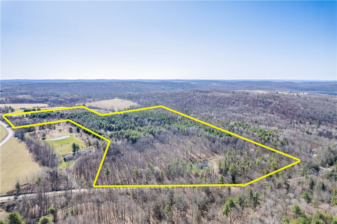 6270 Wolf Run Road Campbell, NY 14821 - Photo 48 of 50