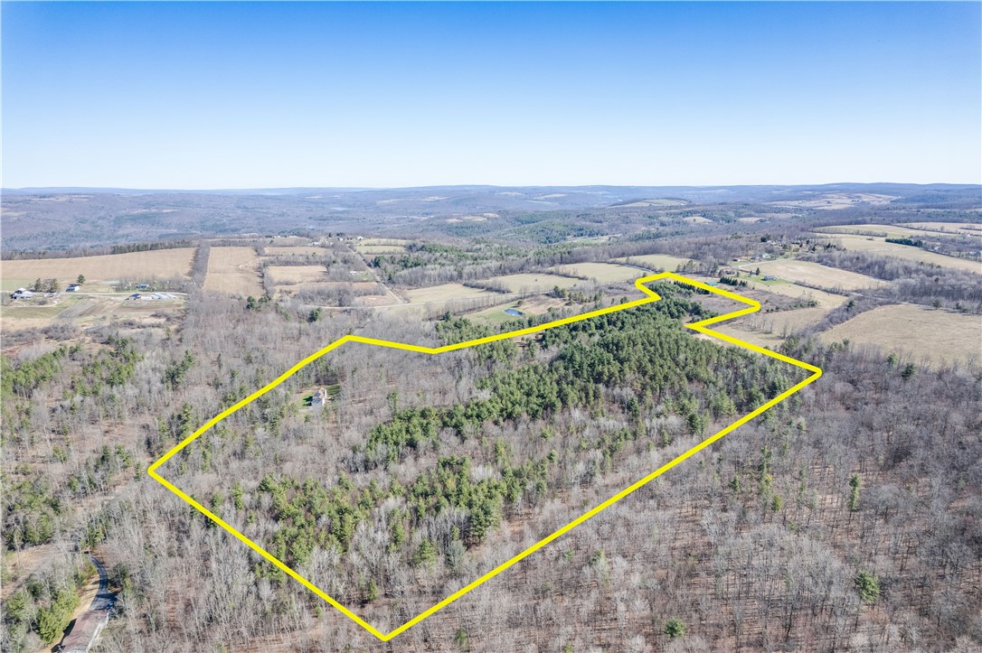 6270 Wolf Run Road Campbell, NY 14821 - Photo 49 of 50