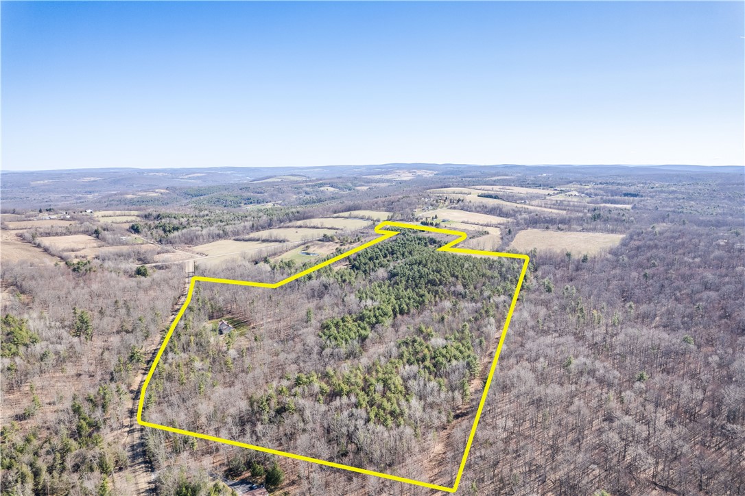 6270 Wolf Run Road Campbell, NY 14821 - Photo 50 of 50